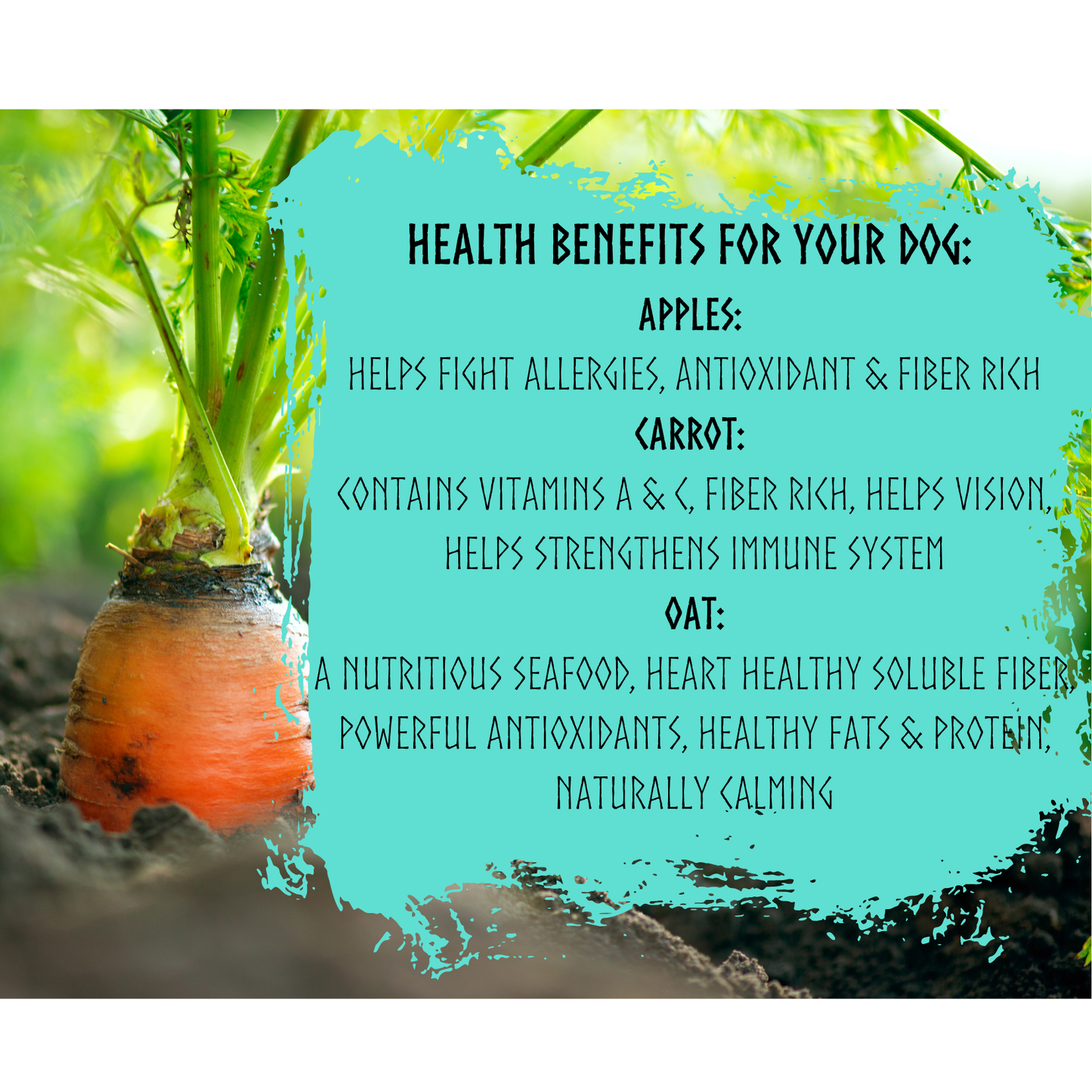 All-Natural Carrot Dog Treats